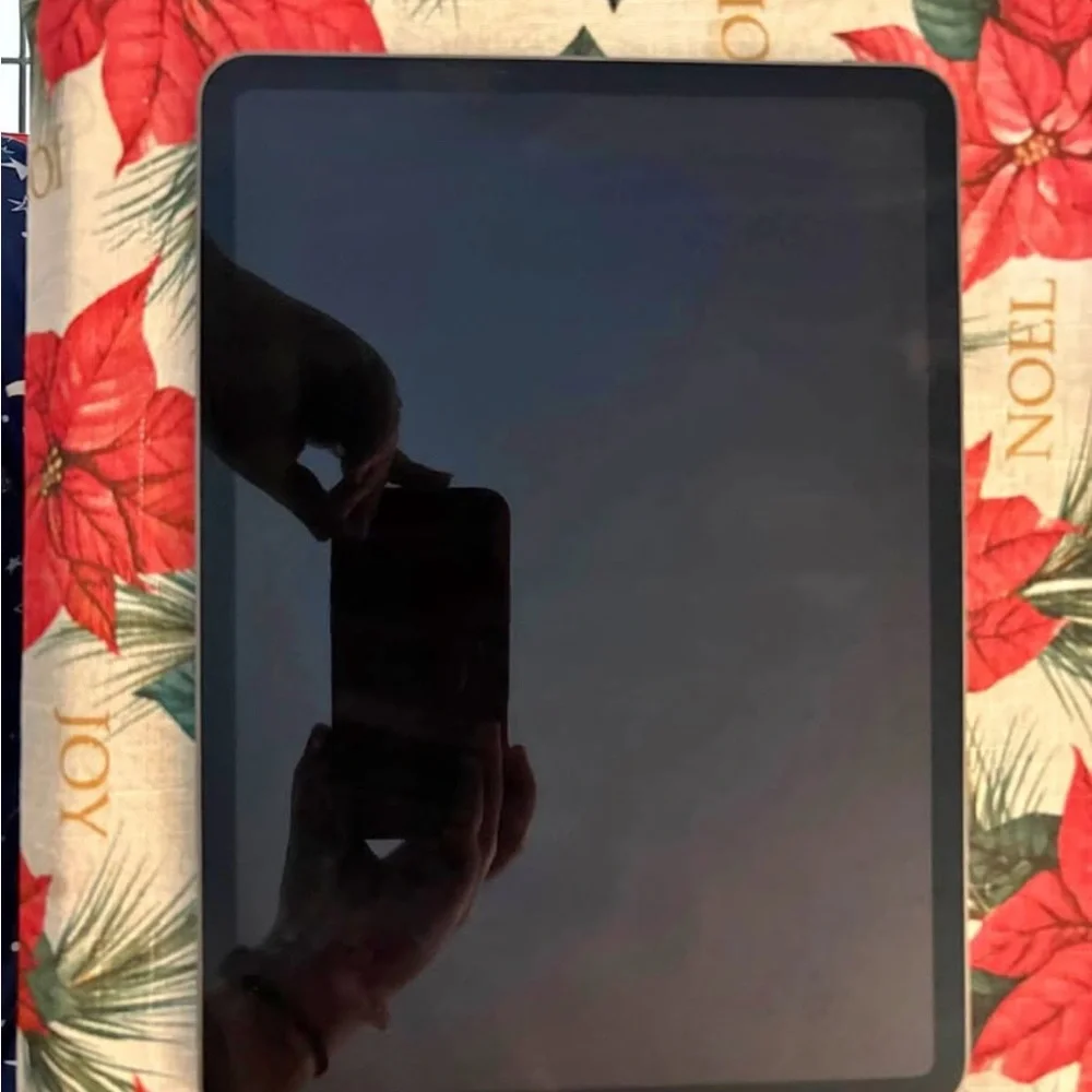 Apple ipad super
